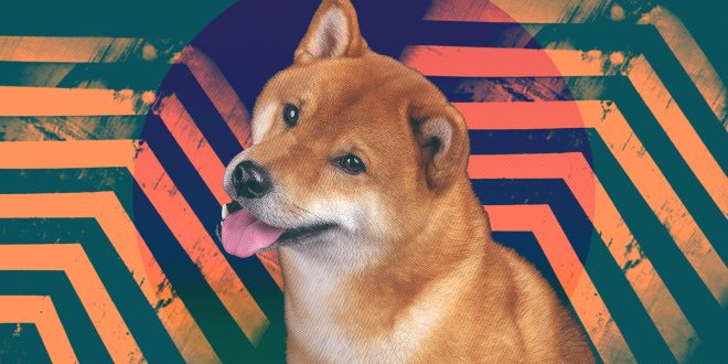 Dogecoin kini telah naik level, Dogecoin mampu melampaui Polkadot