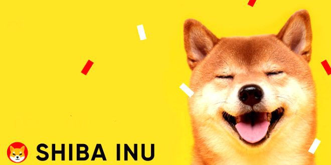 Meskipun kinerjanya buruk namun Shiba Inu (SHIB) investor masih optimis