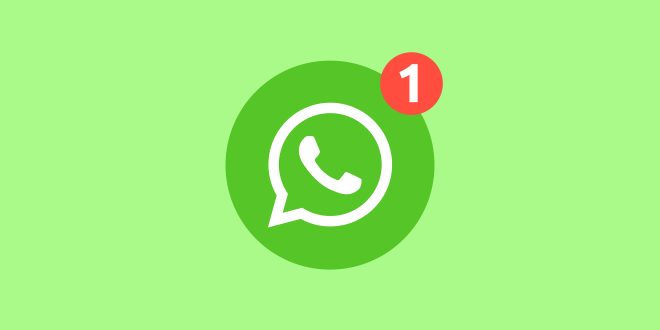 Update WhatsApp terbaru membuat tampilan Status lebih Menarik