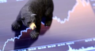 Belajar Cryptocurrency : Perbeedaan 'Market Correction' dan 'Bear Market'