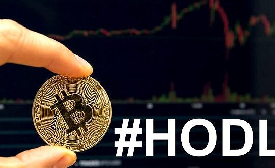 5 Tips untuk Hodling Kripto Supaya Cuan Besar