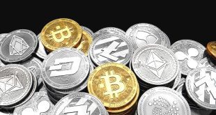 Belajar Cryptocurrency : Penjelasan Apa itu Altcoin? untuk Pemula