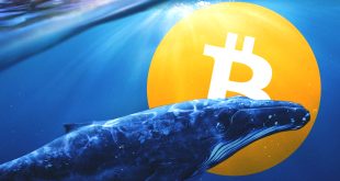 Whale memindahkan Bitcoin yang senilai $ 44 juta