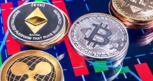 Simak yuk! Panduan Pemula untuk Berinvestasi dalam Cryptocurrency