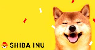 Meskipun kinerjanya buruk namun Shiba Inu (SHIB) investor masih optimis