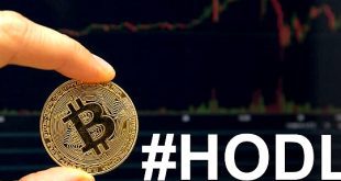 5 Tips untuk Hodling Kripto Supaya Cuan Besar