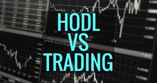 HODL vs Trading